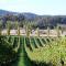 Foto: Mayfield Vineyard 11/108