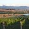 Foto: Mayfield Vineyard 12/108