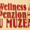 Wellness Penzion U Muzea - Liberec