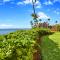 Island Sands 609