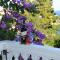 Apartment Dragovic