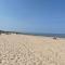 Glücklich am Strand - Ruhe im Kiefernwald mit Terrasse & Hund willkommen