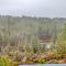 River Ridge 421A - Meredith Lodging