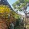Hanok Dream