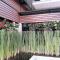 The Loft @Chiangrai