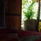 kapi wild cottage Ella