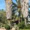 Apartamentos Oasis de las Palmeras - Bolnuevo