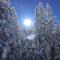 Das Alpbach Juwel