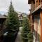 Misty Mountain- Premium 2 Bedroom Mountain View