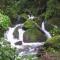 Quetzal Valley Cabins