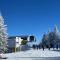 Holiday home Gröbming Ski Mountains
