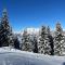 Holiday home Gröbming Ski Mountains