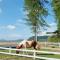 7 Heaven camping Lanta 7 Heaven camping Lanta