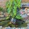 Casa de Hóspedes Canto dos Pássaros