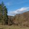 Bertha Shepherds Hut