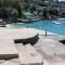 Apartments Jozica in Brna - Insel Korcula 6371