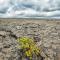 At the Craters Edge