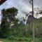 Evergreen Guest House