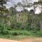 Evergreen Guest House