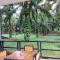 Evergreen Guest House
