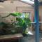 Candelaria House Boutique