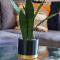 Bright cheery 4 bd apartment by Brighton Station