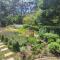 Banksia Tops