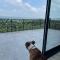 Wine Valley Villas
