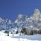 TH San Martino - Majestic Dolomiti Hotel