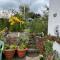 Dale View bed & breakfast