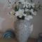 Barud Gedera Israel