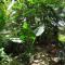 Rural Jungle Backpackers Hostel
