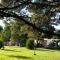 Zeehan Bush Camp