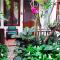 Shewe Wana Boutique Hotel