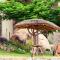 Joma Adventure Lodge