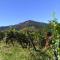Gites & Camping on the Route des Vins photo 20