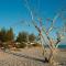 Salary Bay