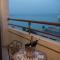 Kinorot Hotel