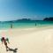 Twin Palms Hostel Phi Phi - جزيرة في في