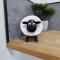 Serviced Apartment - Aberdeen