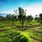 Galenia Estate - Montagu