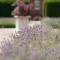Stanbrook Abbey Hotel, Worcester