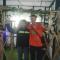 Royal Pine Homestay