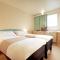 ibis Hotel Brussels Airport