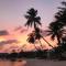 The Shore Samui