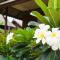 Weekender Bungalow
