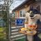 Le petit Nid a Coxyde