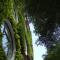 Flora by Crossroads Hotel