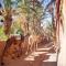 Riad Soleil du Monde - Zagora