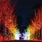 Holiday Inn Express & Suites Pittsfield-Lenox-Berkshires by IHG